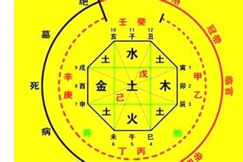 八字種|生辰八字算命、五行喜用神查詢（免費測算）